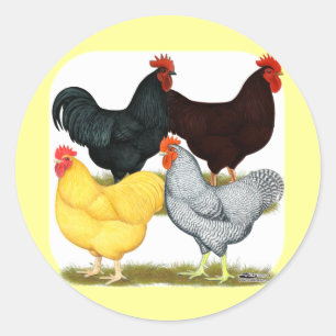 Heavy Rooster Chicken Quartett Runder Aufkleber