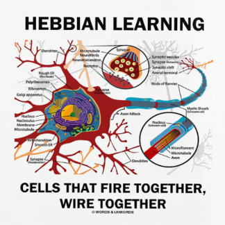 Hebbian Learning Cells brennen gemeinsam Wire Planer