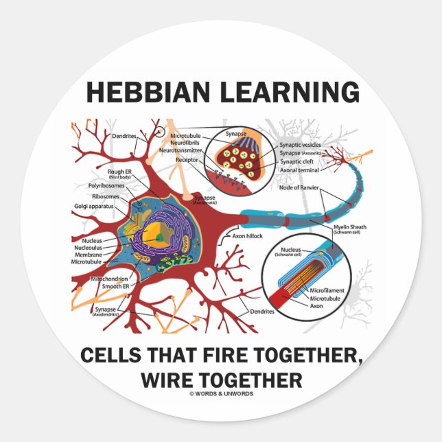 Hebbian Learning Cells brennen gemeinsam Wire Runder Aufkleber (Vorderseite)