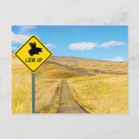 Heben Sie die Augen für Schweine, die fliegen könn