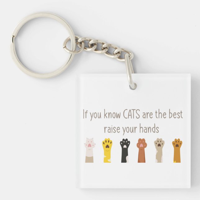 Heben Sie Ihre Hände Katzen sind der beste Spaß Qu Schlüsselanhänger (Vorderseite)