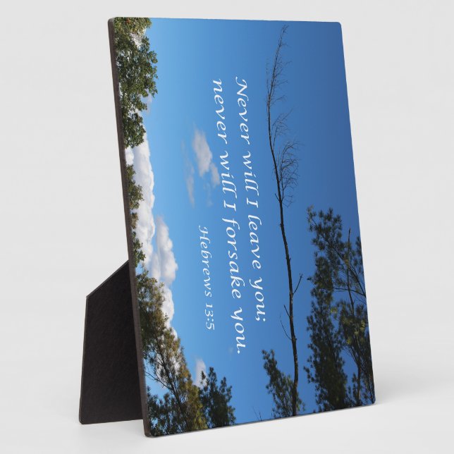 Hebräer 13:5 Ich werde euch nie verlassen Fotoplatte (Seite)