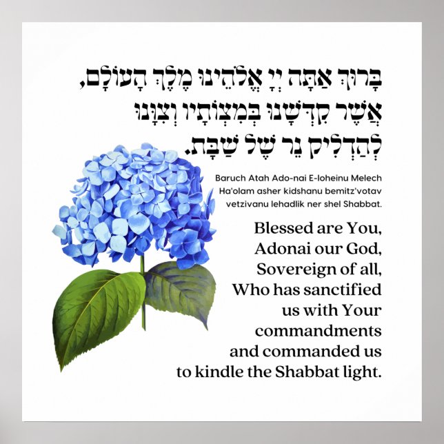 Hebräischer Segen für Shabbat Candles Hydrangea Poster (Vorne)