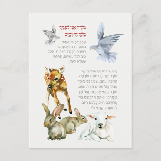 Hebrew Modeh Ani Morning Gebet Jüdische Kinder Postkarte (Vorderseite)