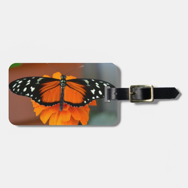 Hecale Longwing Butterfly Gepäckanhänger (Vorderseite horizontal)