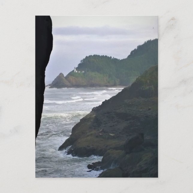 Heceta Head Lighthouse & Sea Lions, OR Postkarte (Vorderseite)