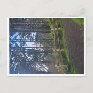 Heceta Kopf Leuchtturm aus Weg Postkarte