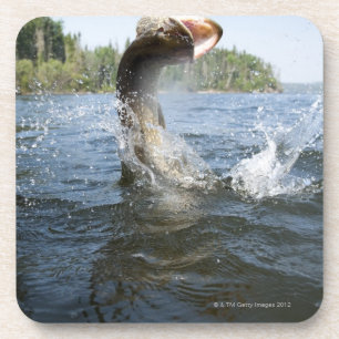 Hechtherausspringen des Wassers in einem See Untersetzer