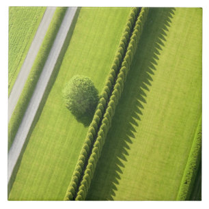 Hecke im Hamptons Fliese