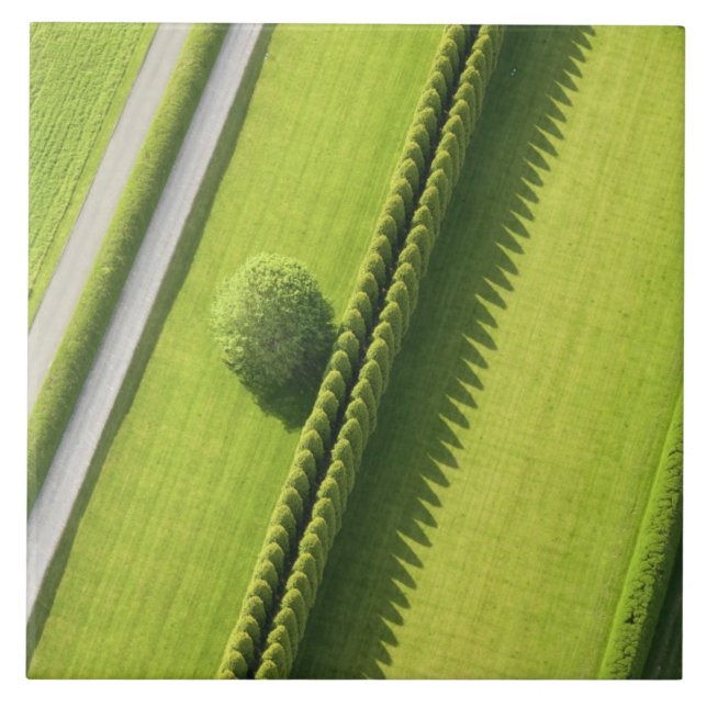 Hecke im Hamptons Fliese (Vorderseite)