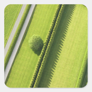 Hecke im Hamptons Quadratischer Aufkleber