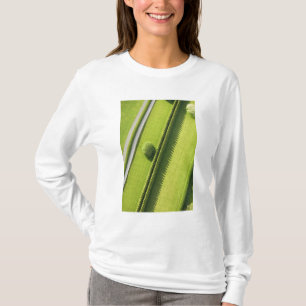 Hecke im Hamptons T-Shirt