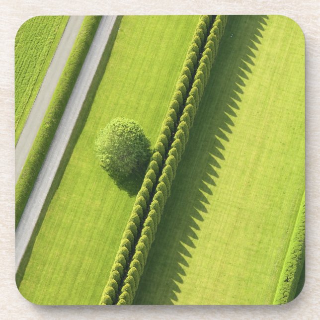 Hecke im Hamptons Untersetzer (Vorderseite)