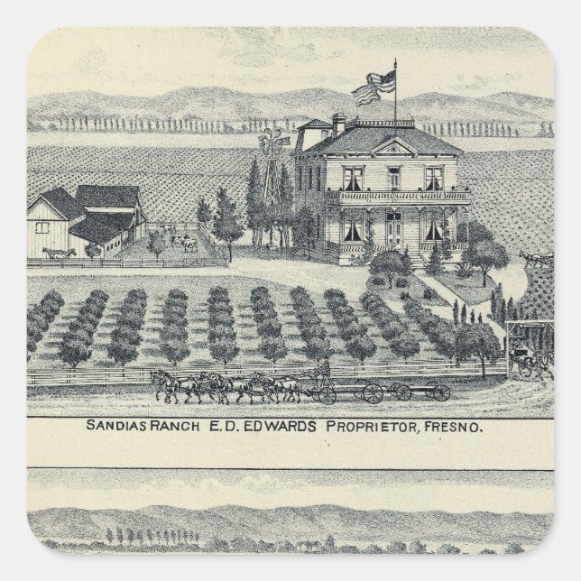 Hedge Row Vineyard, Fresno Quadratischer Aufkleber (Vorderseite)