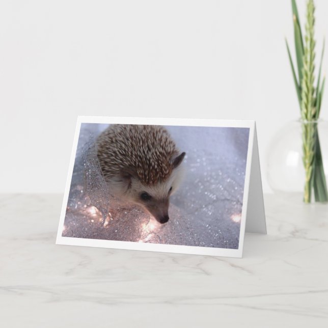 Hedgehog Christmas Card Feiertagskarte (Vorderseite)