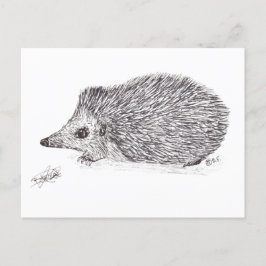 HEDGEHOG FEIERTAGSPOSTKARTE