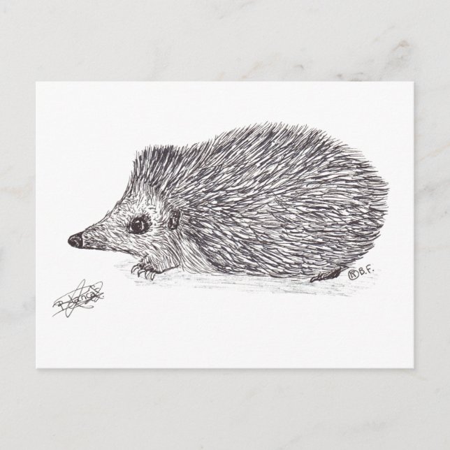 HEDGEHOG FEIERTAGSPOSTKARTE (Vorderseite)