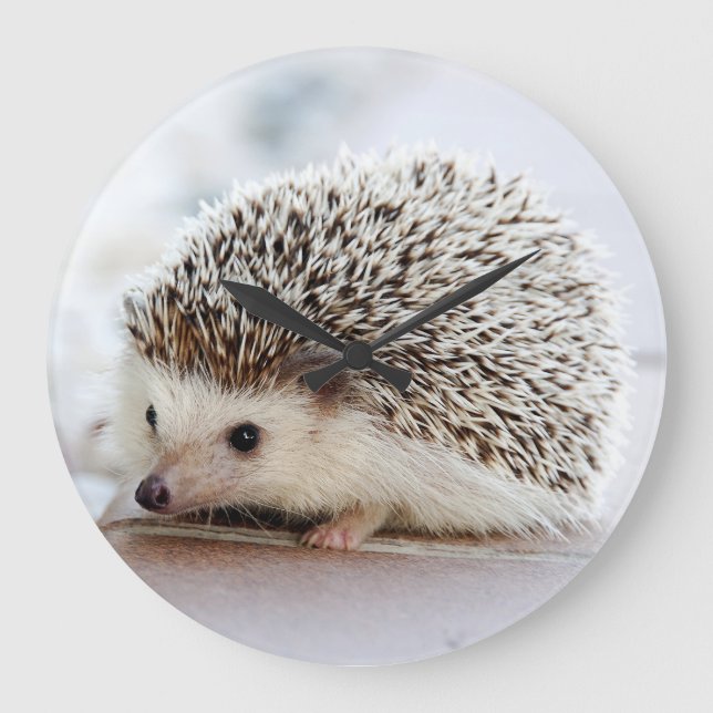 Hedgehog Große Wanduhr (Vorderseite)