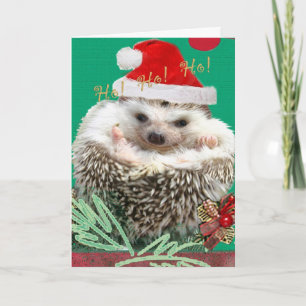 Hedgehog HO!HO!HO! Feiertagskarte
