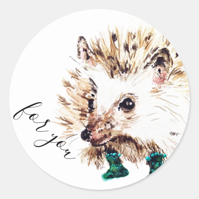 Hedgehog in Socken  Runder Aufkleber (Vorderseite)