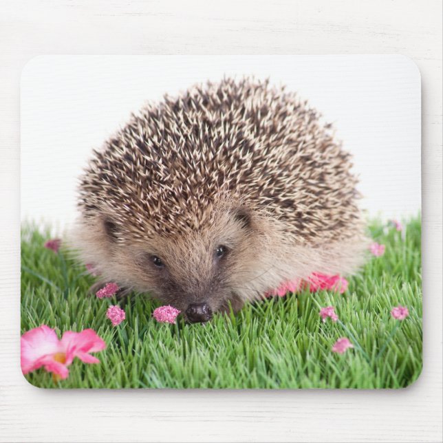 Hedgehog Mousepad (Vorne)