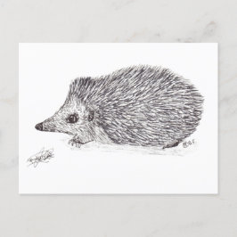 HEDGEHOG POSTKARTE