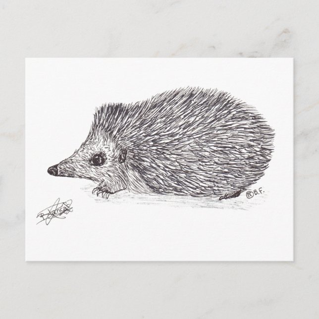 HEDGEHOG POSTKARTE (Vorderseite)