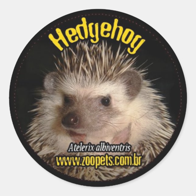 hedgehog runder aufkleber (Vorderseite)