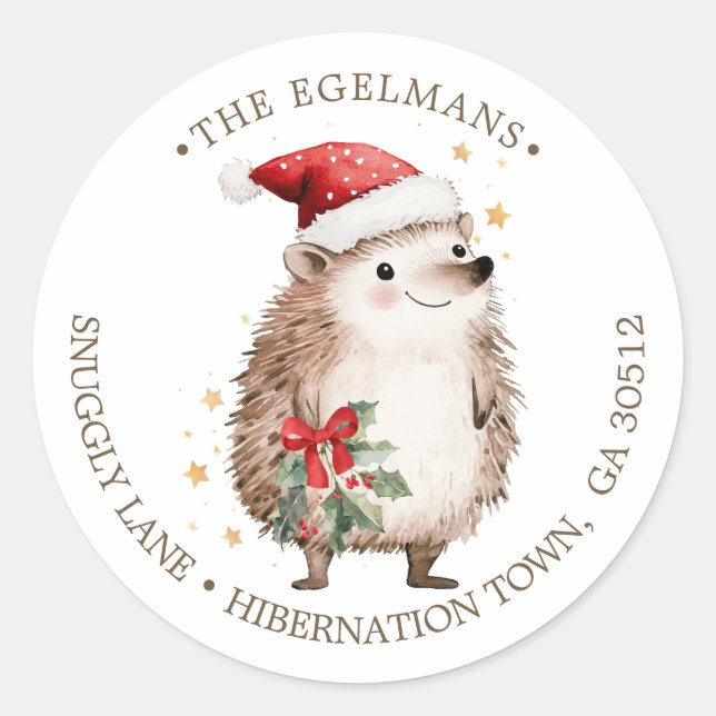 Hedgehog Santa Hat Christmas Return Address Label Runder Aufkleber (Vorderseite)