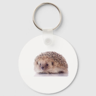 Hedgehog, Schlüsselanhänger