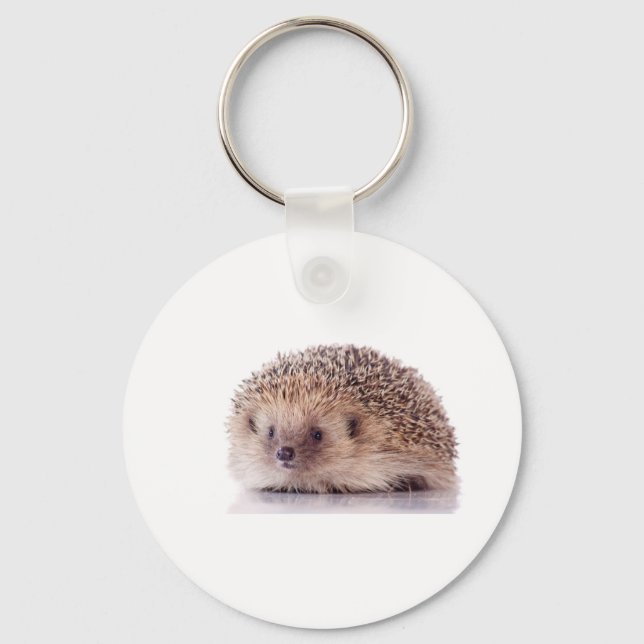 Hedgehog, Schlüsselanhänger (Vorderseite)