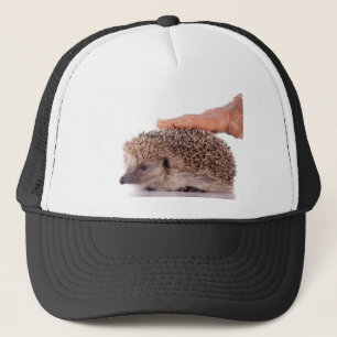 Hedgehog, Truckerkappe