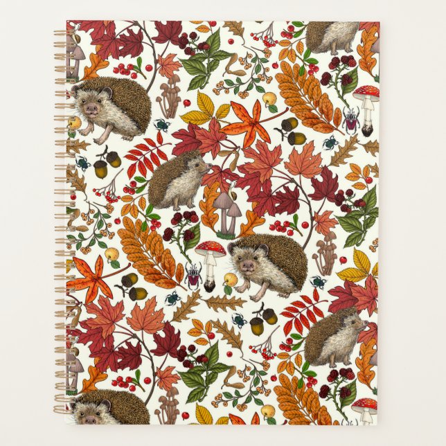 Hedgehogs and autumn forest flora on ivory planer (Vorderseite)