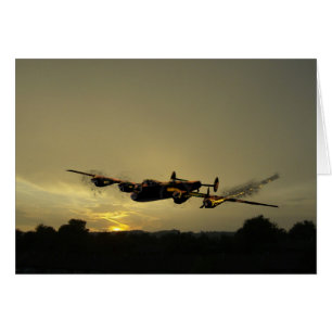 Hedgehopper Lancaster.