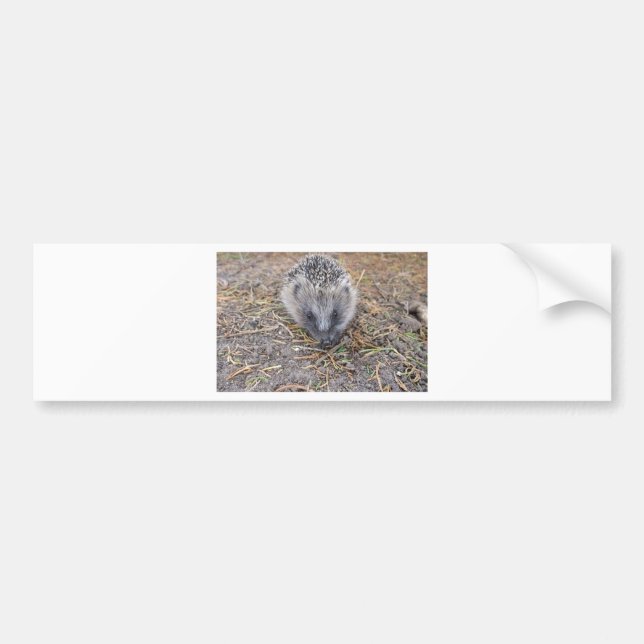 Hedgie Produkte Autoaufkleber (Vorne)