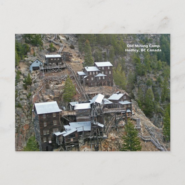 Hedley Mining Camp Postcard Postkarte (Vorderseite)