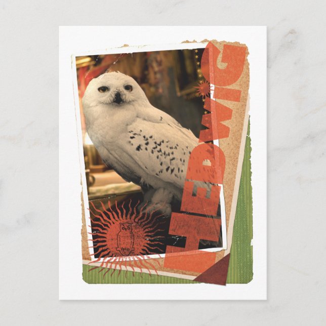 Hedwig 1 postkarte (Vorderseite)