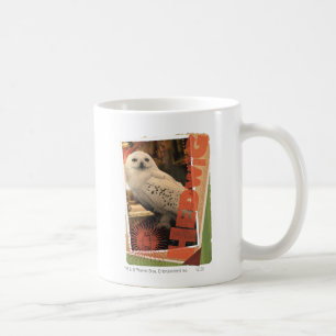 Hedwig 1 tasse