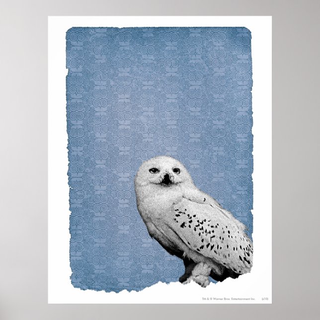 Hedwig 2 poster (Vorne)