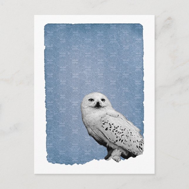 Hedwig 2 postkarte (Vorderseite)