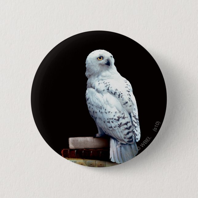 Hedwig auf Bücher Button (Vorderseite)
