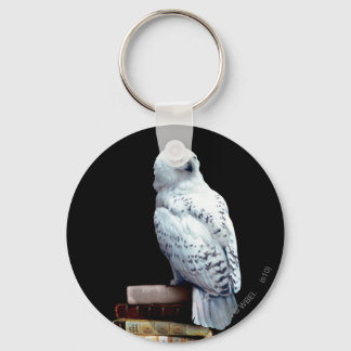 Hedwig auf Bücher Schlüsselanhänger