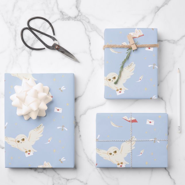 Hedwig Eulenpost Briefe und Bücher Muster Geschenkpapier Set (Vorderseite)