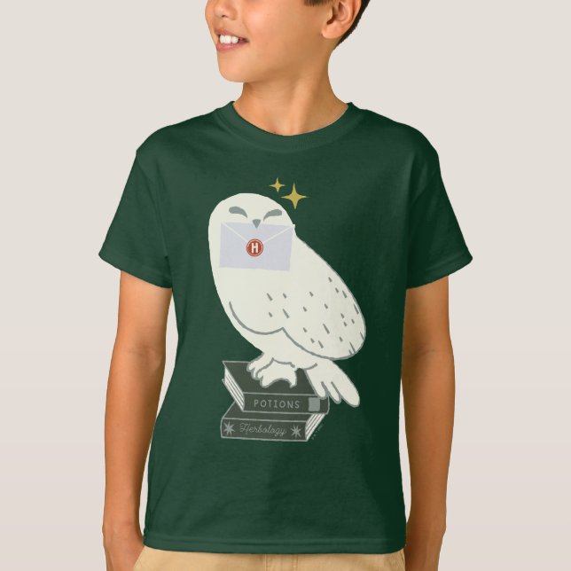 Hedwig mit Brief launische Zeichnung T-Shirt (Vorderseite)