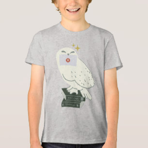 Hedwig mit Brief skizzenhafte Zeichnung Tri-Blend Shirt