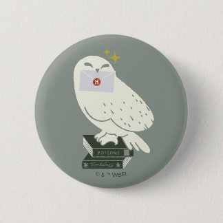 Hedwig mit Brief Skurrile Zeichnung Button
