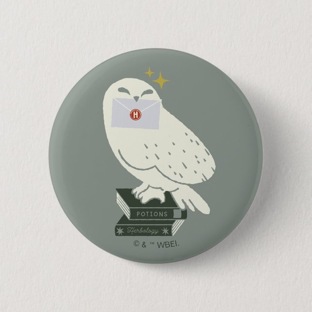 Hedwig mit Brief Skurrile Zeichnung Button (Vorderseite)