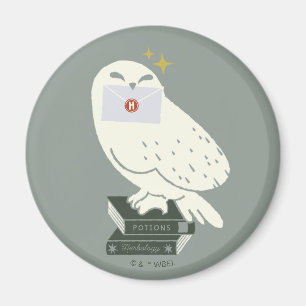 Hedwig mit Brief Skurrile Zeichnung Magnet