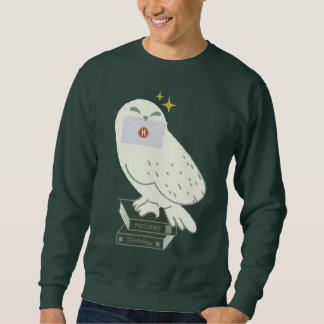 Hedwig mit Brief Skurrile Zeichnung Sweatshirt