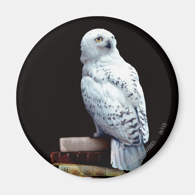 Hedwig über Bücher Magnet (Vorne)
